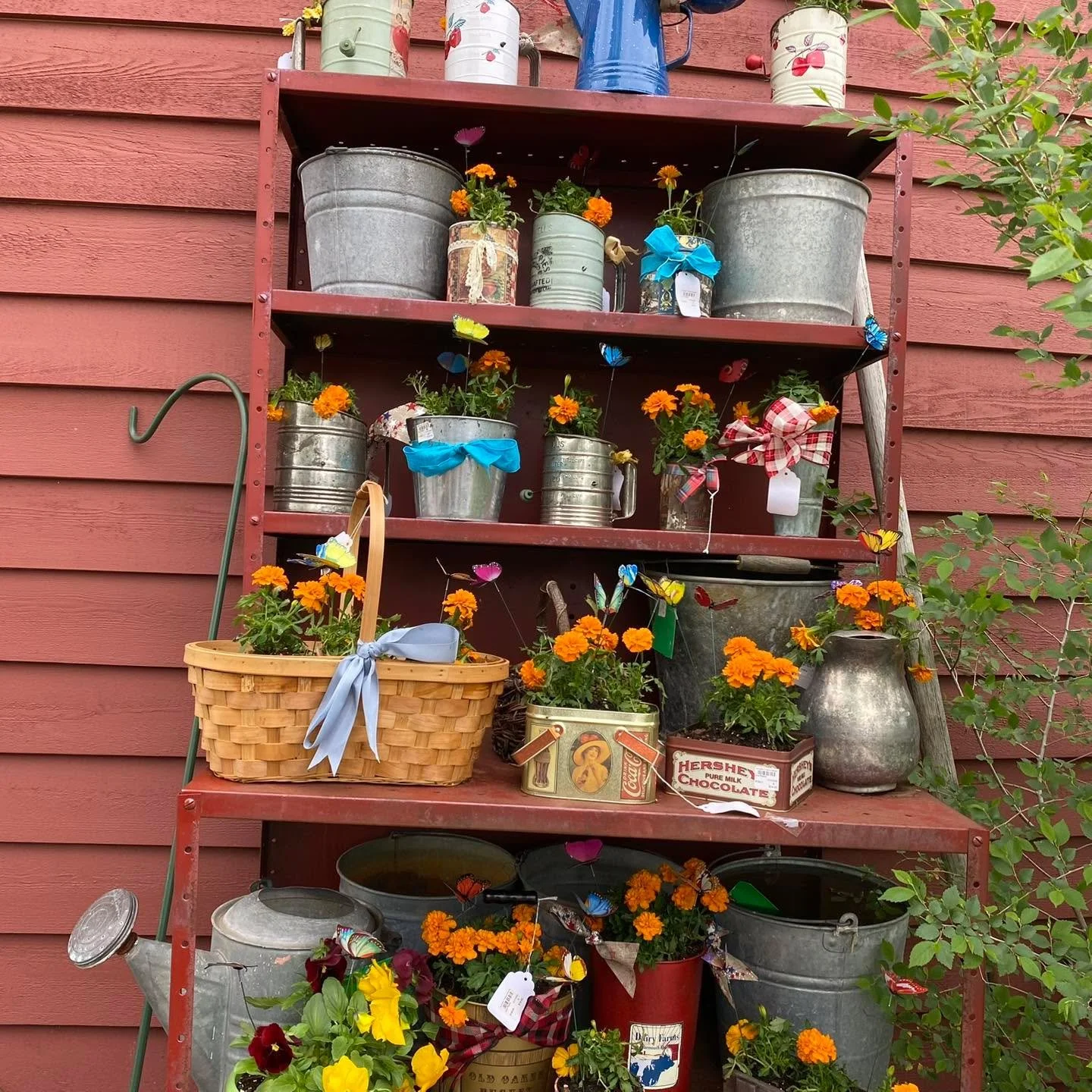 OPEN MEMORIAL DAY 10am-2pm 

Barn Hours:
Monday - Saturday 10am-5pm 
Wednesday 10am-7pm 
Sunday 12pm-4pm