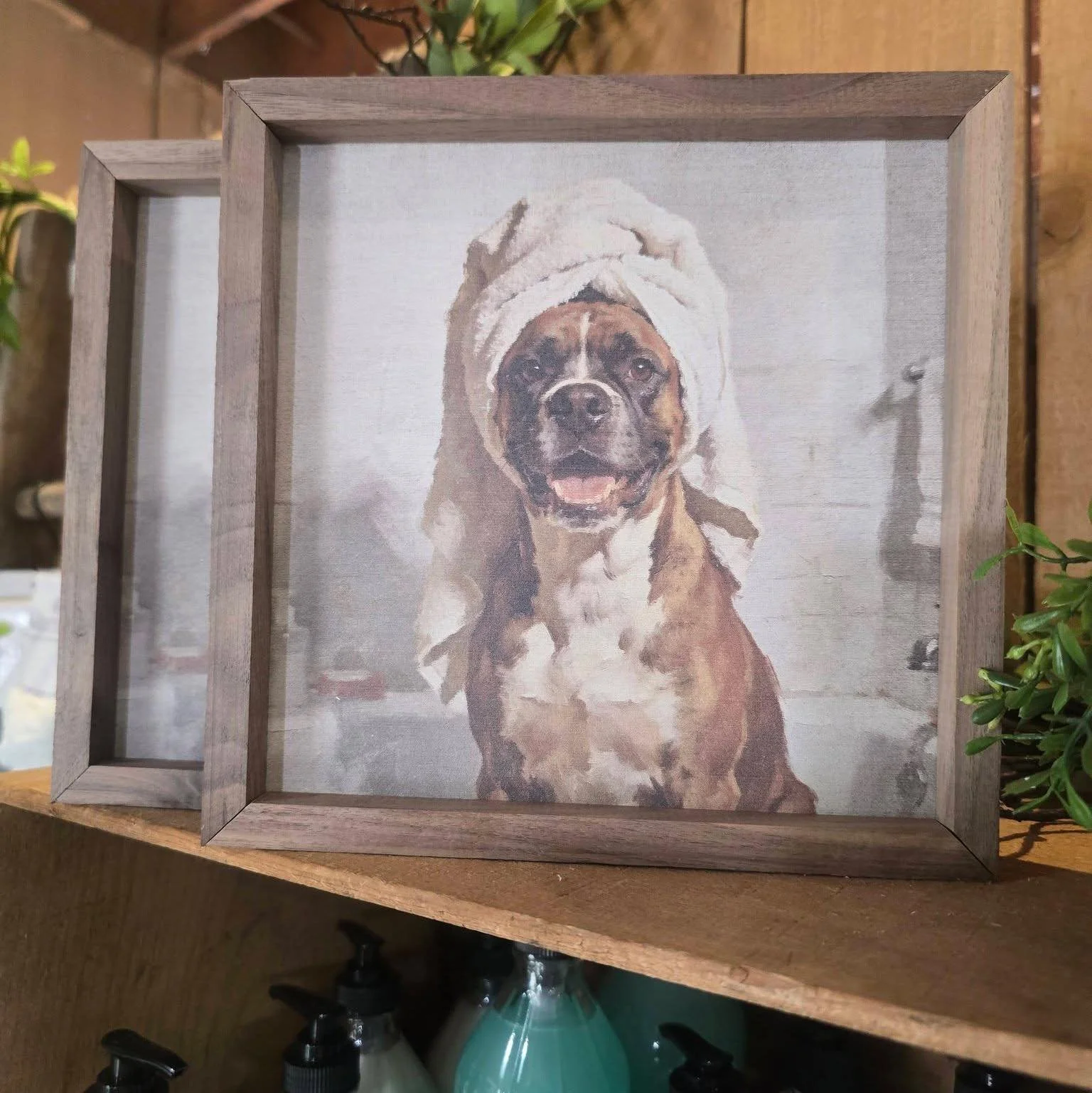 🐾🛁 Warning: These pups may cause uncontrollable smiling! 🛁🐾

Fresh from the spa and full of personality, these adorable dog prints are the perfect addition to a bathroom, laundry room, or any dog-lover's home.

 From cucumber-eye relaxation to bu