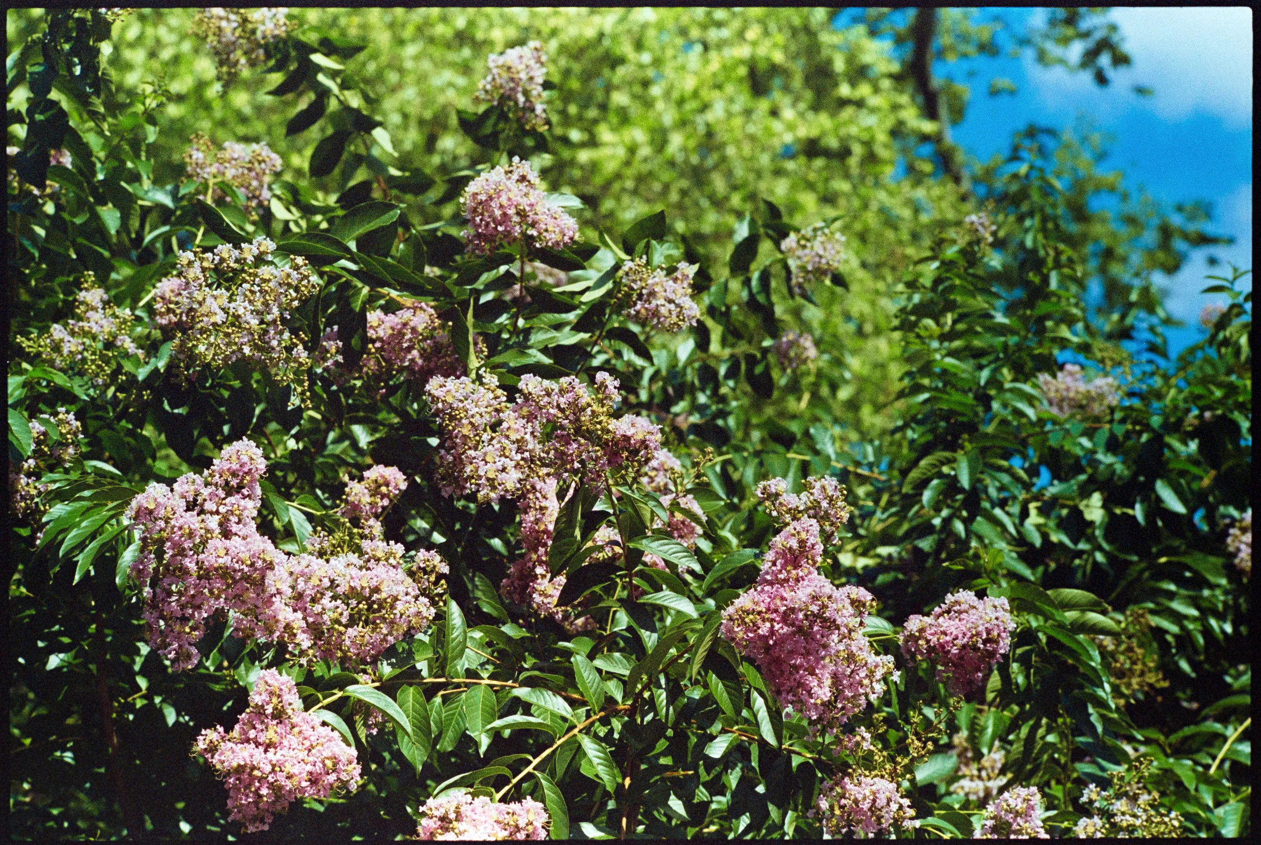 Test-134.jpg