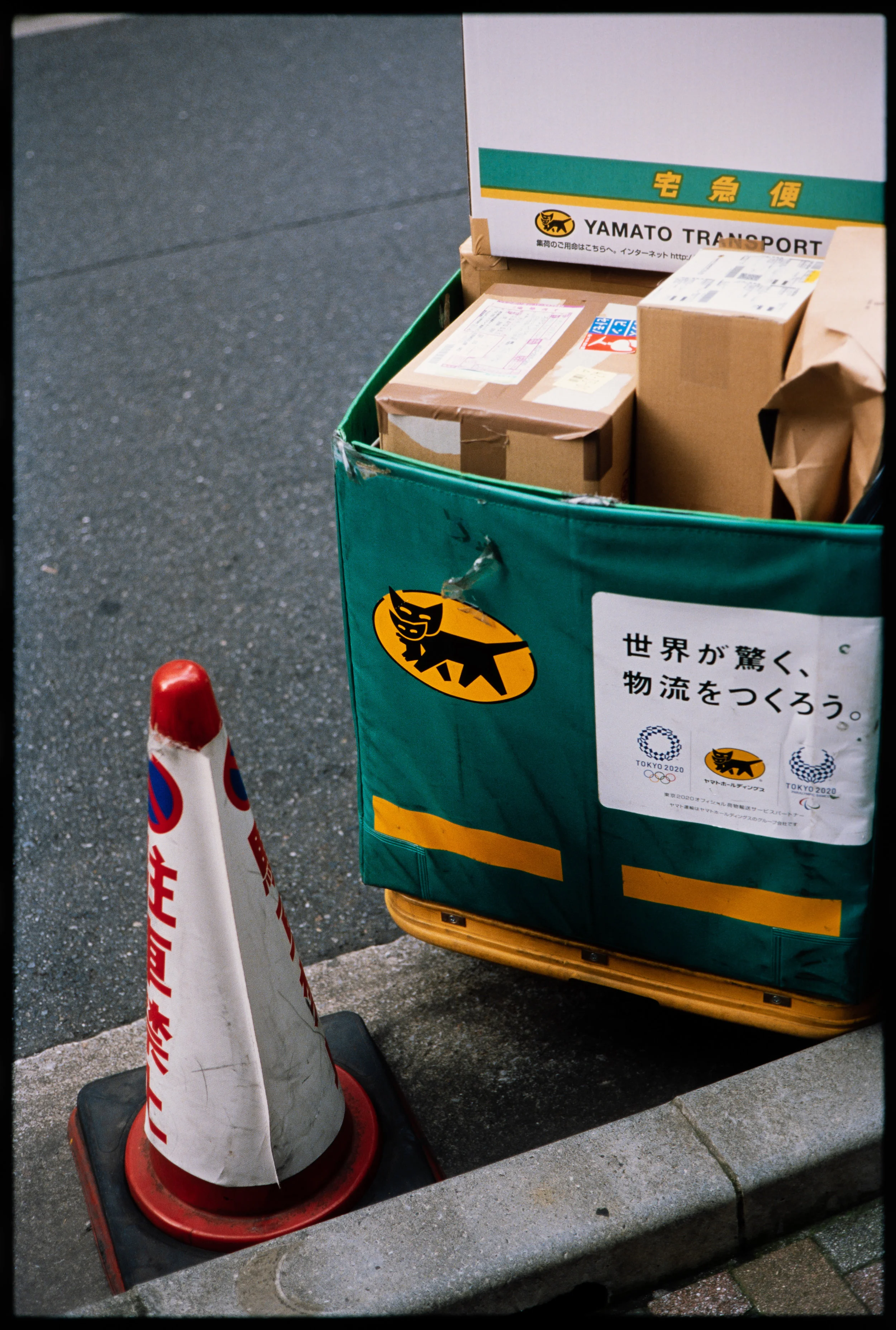 Sample Scan with Nikon full frame camera.