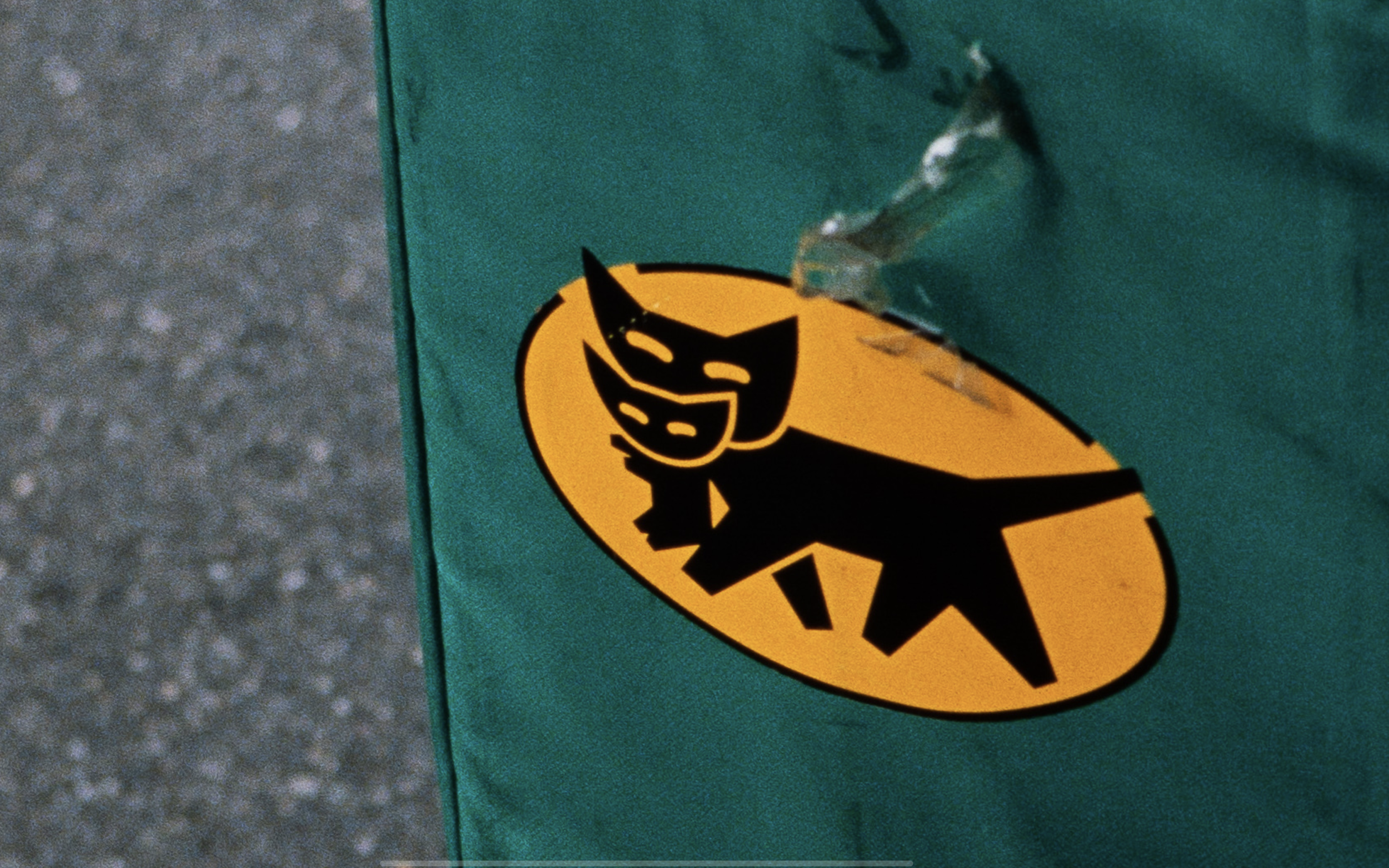 Enlarged section showing visible resolved grain from Kodak Ektachrome 100, one of the worlds finest grain slide films.