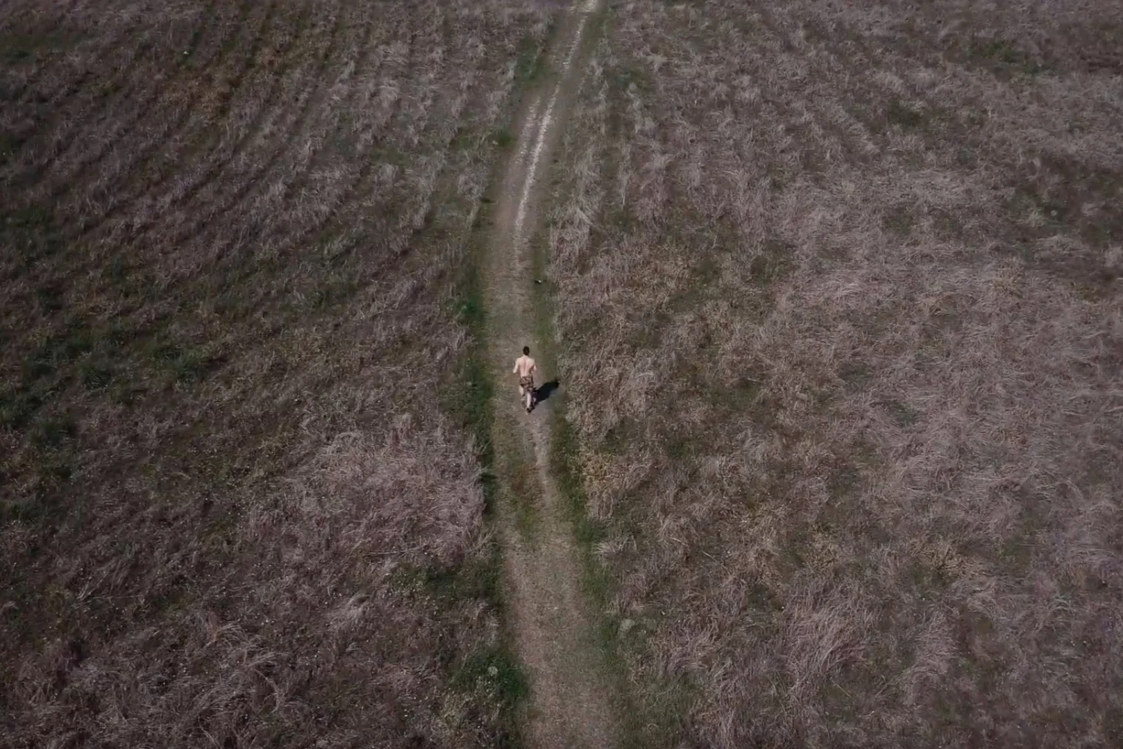 Stop Wishing, Start Working