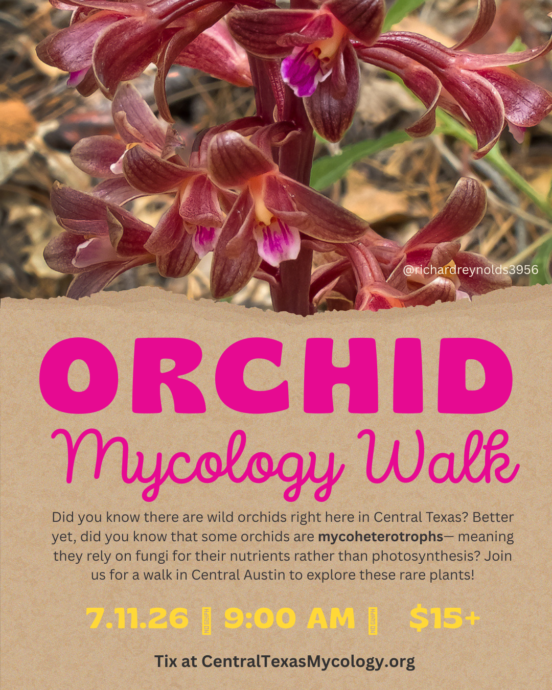 AUSTIN: Orchid Mycology Walk