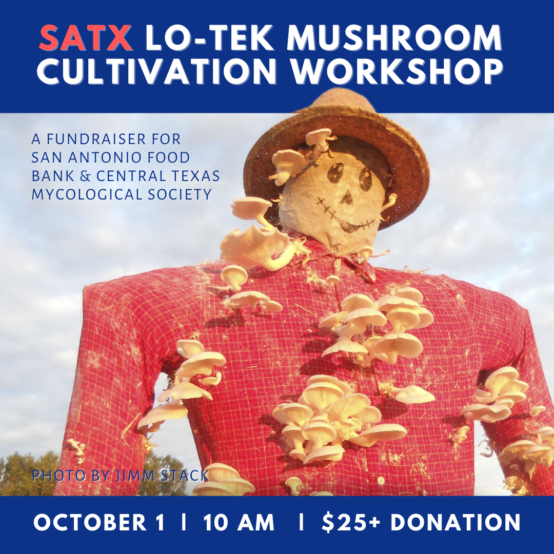 San Antonio Lotek Mushroom Cultivation — Central Texas Mycological