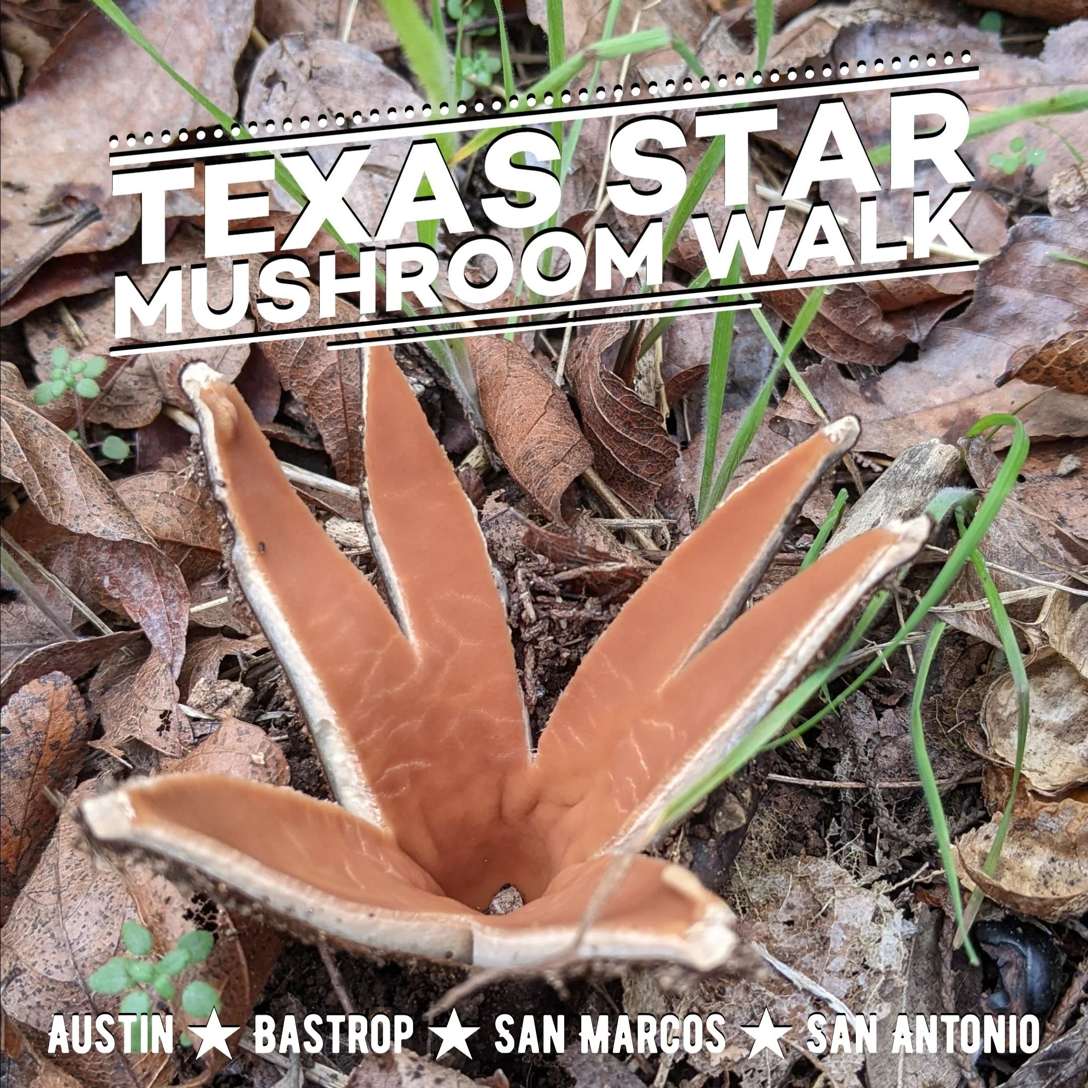 Texas Star Mushroom Walk in Bastrop — Central Texas Mycological Society