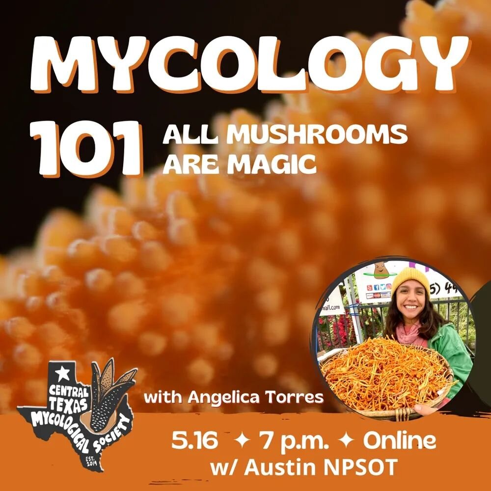 This Tuesday evening join the Austin Chapter of the @npsot for a free online class where we will learn the basics of mycology and learn how the fungi kindom is entangled in all parts of our life. We will also cover some basics on mushroom identificat