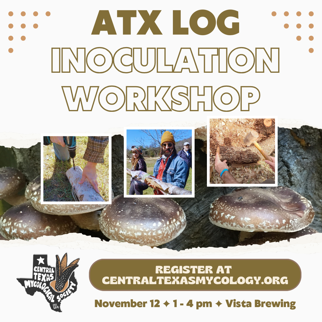 AUSTIN: Shiitake Log Inoculation Workshop & Happy Hour — Central Texas ...