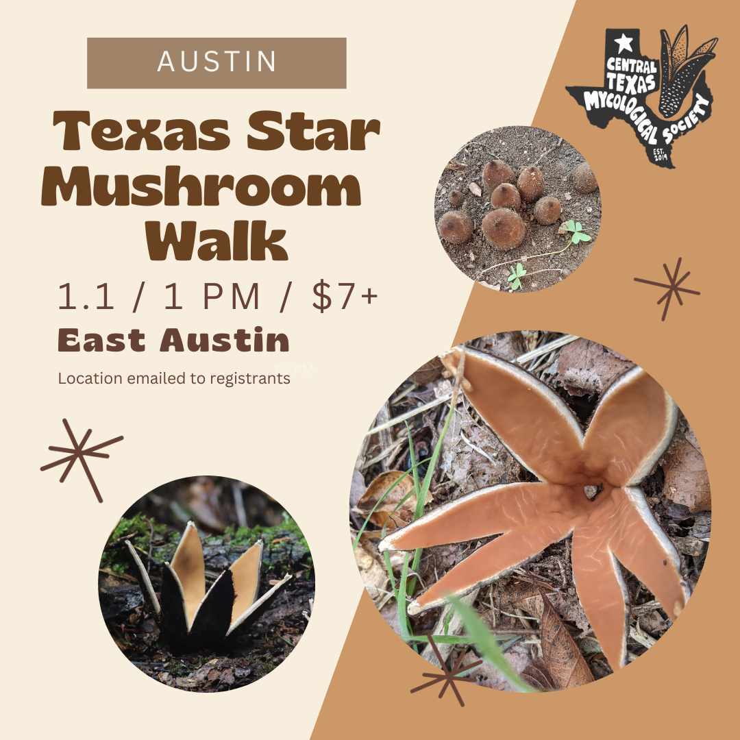 AUSTIN Texas Star Mushroom Walk — Central Texas Mycological Society