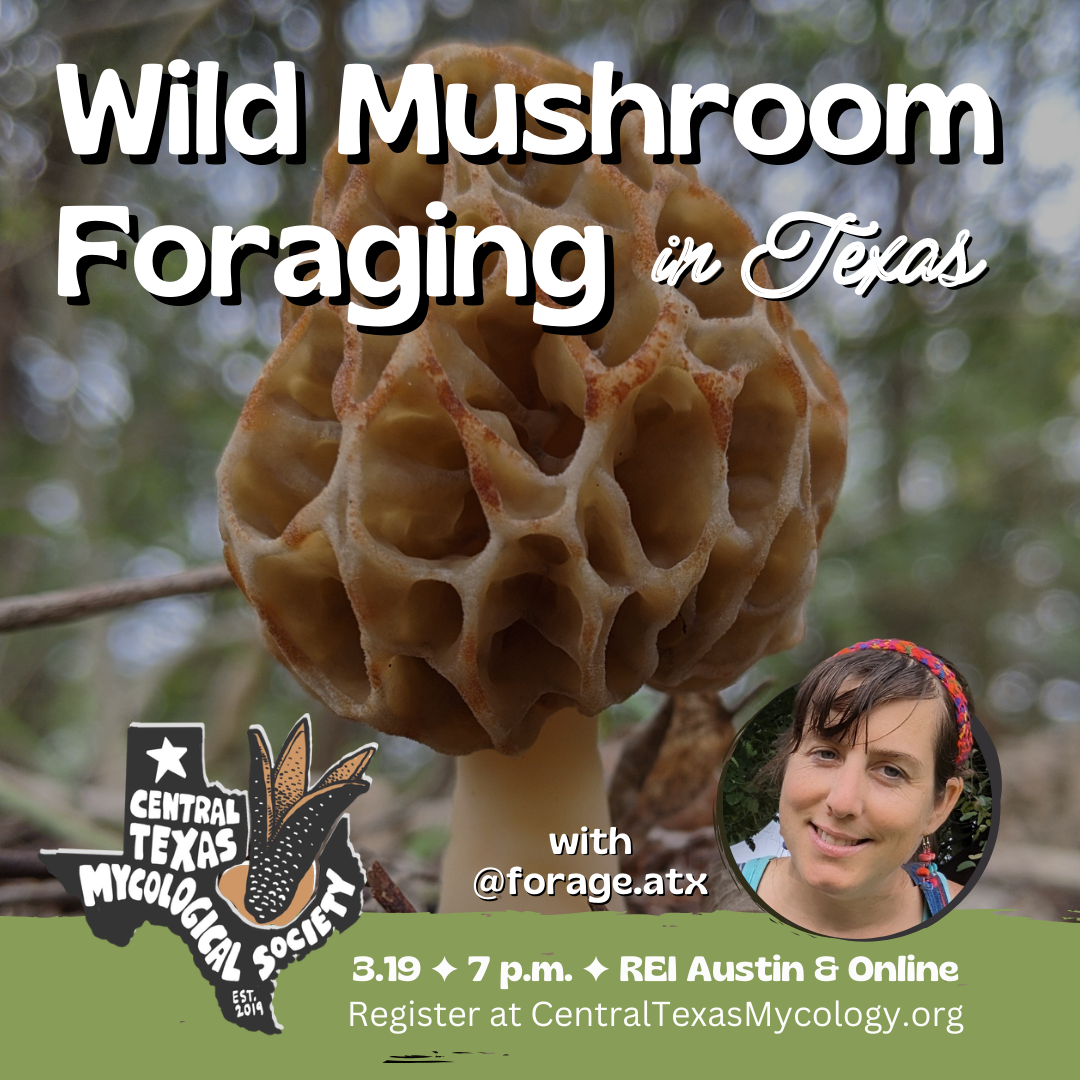 ONLINE & ATX Wild Mushroom Foraging in Texas — Central Texas