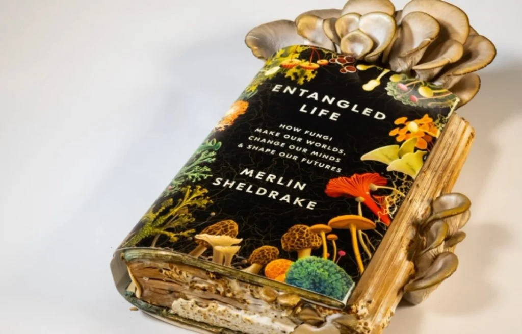 AUSTIN: Mushroom Cultivation with Recycled Reads