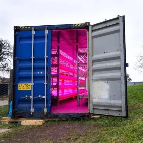 Grow Mushrooms... from a shipping container?! Join our next online talk to see how it's done. We're diving deep into the tech and techniques of container farming. 

RSVP: https://loom.ly/h-ryv68

#MushroomFarm #Mycology #TechMeetsFungi #UrbanAg #Aust