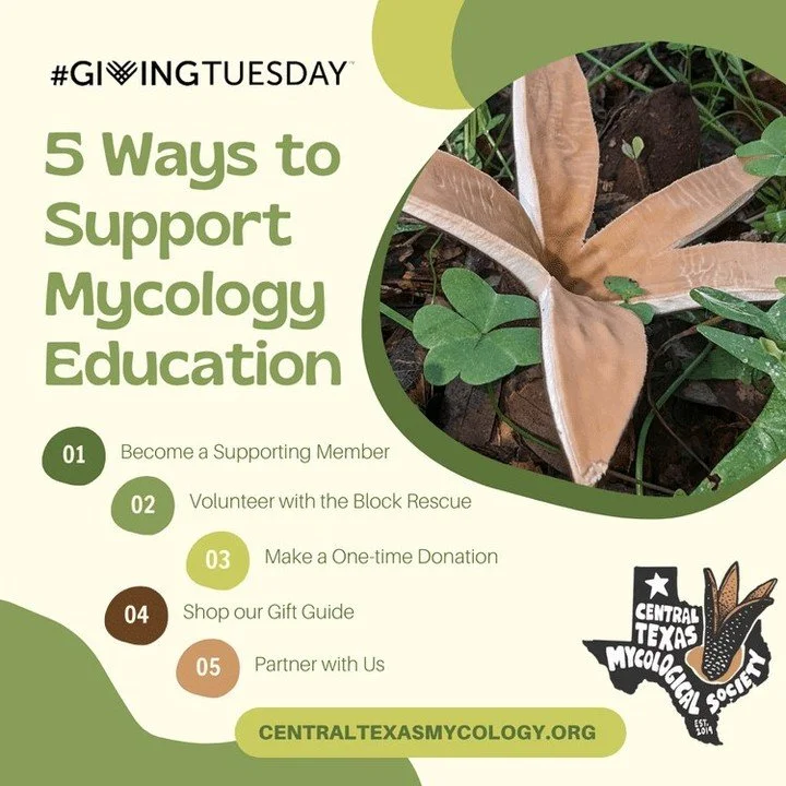Today is #GIVINGTUESDAY and we are giving thanks for community! Your energy, enthusiasm and connection is what keeps our mycelium going! There are so many different ways to show generosity and support mycology education.

Here are 5 ways you can supp
