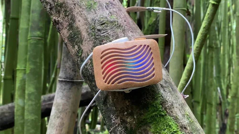 ONLINE: Cross Species Anthrotech, A PlantWave Experiment