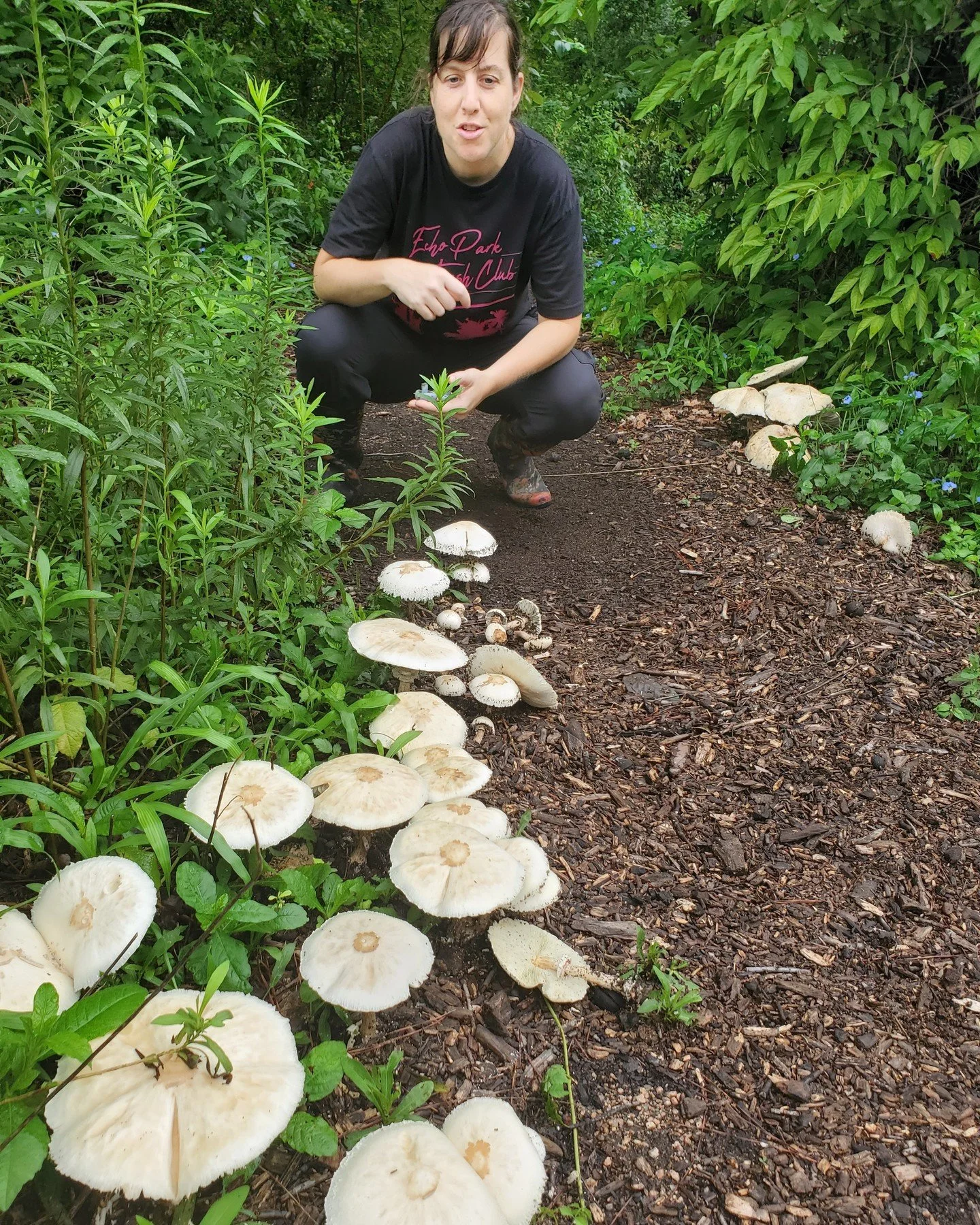 It's time to get down with the rot! 🍄🌱

Join us in Bastrop for Mushroom Gardening 101 and learn why now is the perfect moment to decompose and build something amazing.

✨ The Event: A free, all-ages class on the magic of mycology.
🗓️ When: Thursda