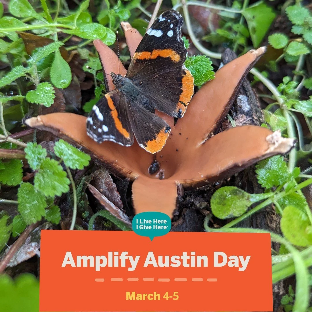 🍄 IT&rsquo;S OFFICIALLY HERE! 🍄

Amplify Austin has begun, and for the next 24 hours, our community is rallying together to support local nonprofits. Comment to get link to donate.

We&rsquo;re asking you to grow something incredible with us. By do