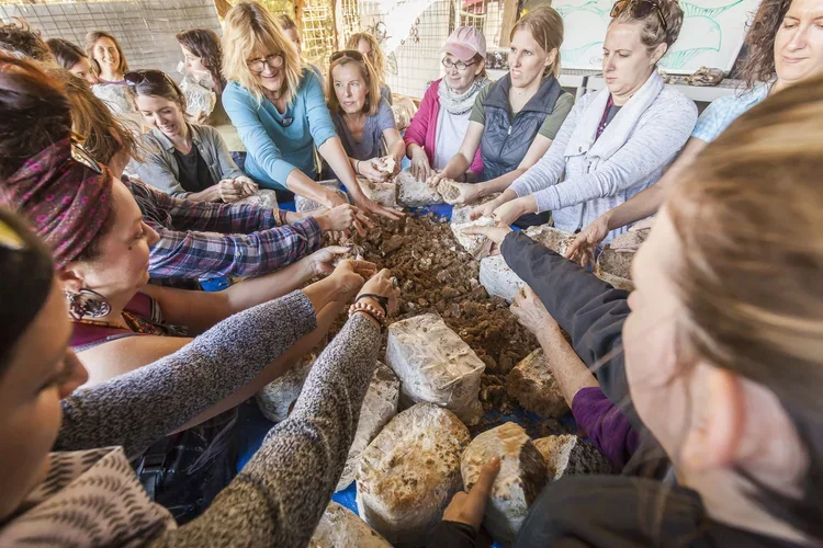 AUSTIN:  Community Composting: Johnson-Su Bioreactor Workshop