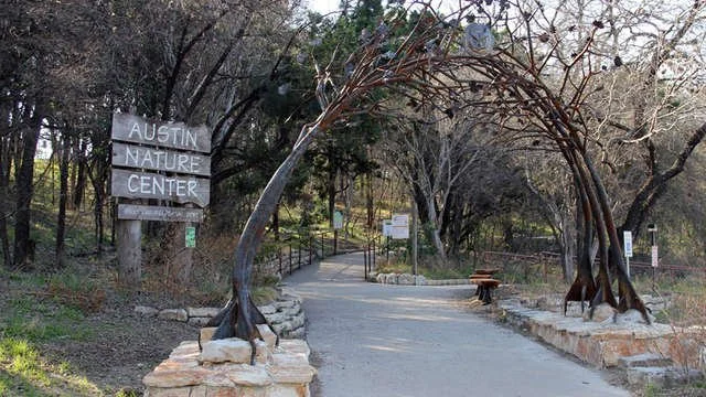 AUSTIN: Mushroom Bingo at Austin Nature Day
