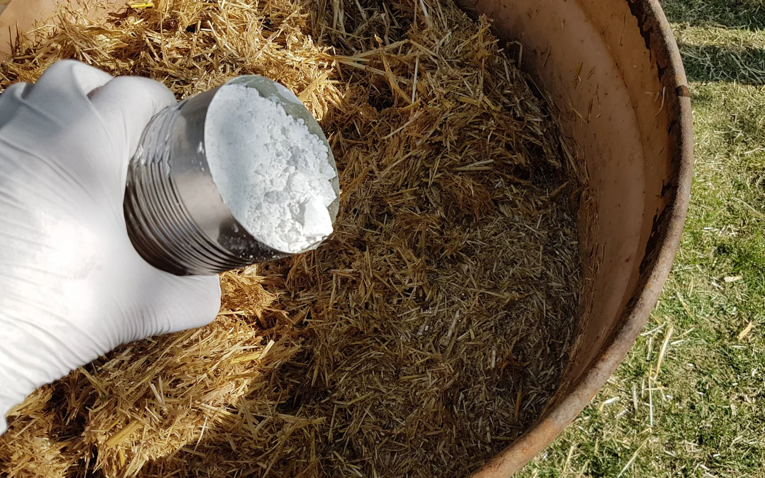 The Easy Guide to Cold Water Pasteurization for Straw (Using Lime, Calc, or Ash)