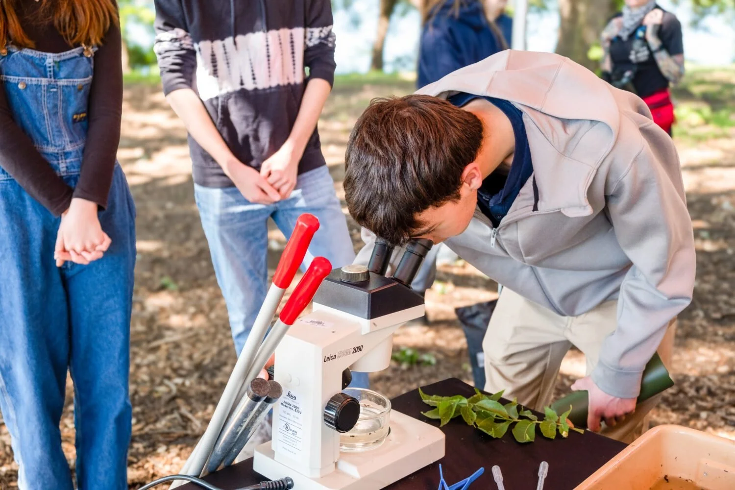AUSTIN: Bioblitz &amp; Mushroom Block Giveaway at Holly Shores 