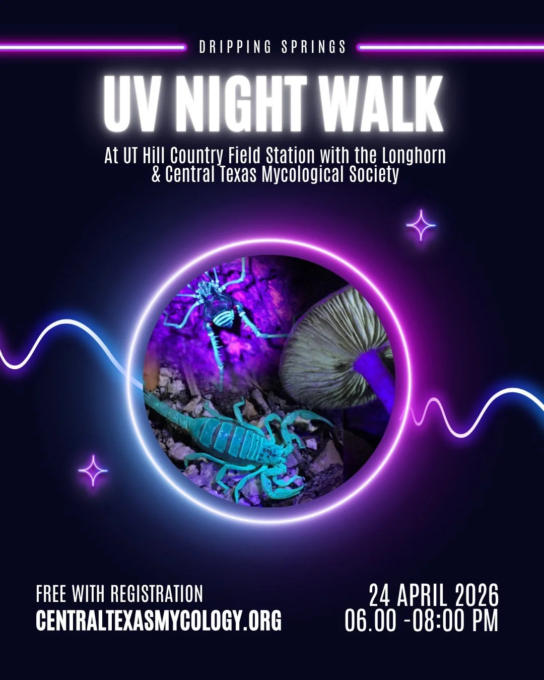 Calling all nature lovers, science nerds, and night owls! 🔦🌙

Two incredible events. One mission. Help document Central Texas fungi for the City Nature Challenge. 🍄🧬

1️⃣ ONLINE: Mushroom Hunting for Science
📅 Tues, Apr 21 | 7 PM CST
📍 Virtual 