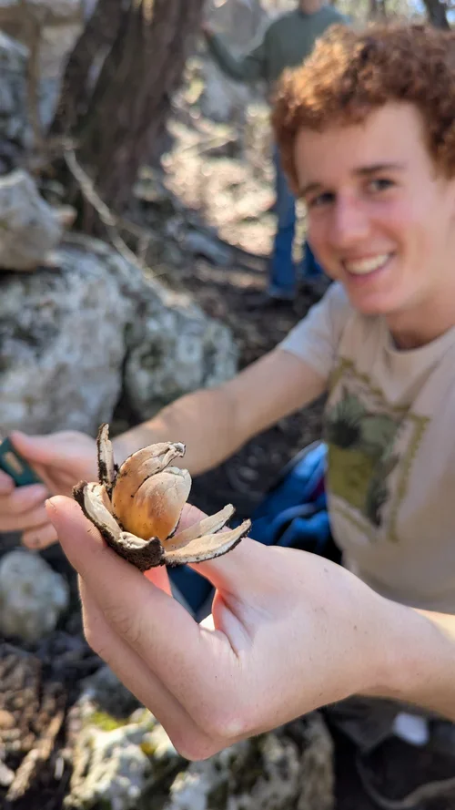A Detailed Guide: Collecting Mushrooms for DNA Barcoding 