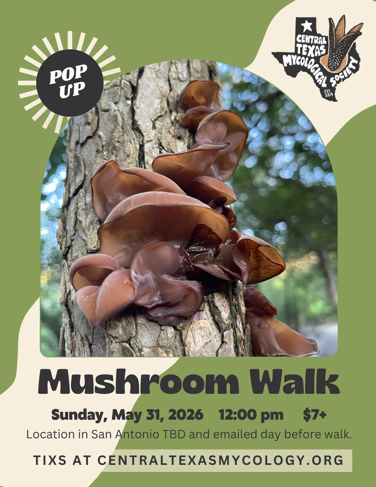 🍄 San Antonio!  Pop-up Mushroom Walk on THIS Sunday 5/31🍄
⏰ 12&ndash;2 PM
📍 Meet-up location TBD (registrants notified 1 day before)
❣ Donation: $7+members/10 non-members (kids under 12 free)
https://loom.ly/5_wLIpY

Learn to forage, ID edibles (h