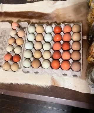 eggs-fresh.jpg