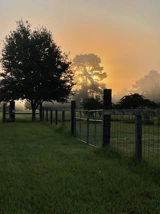 broussard-farm.jpg