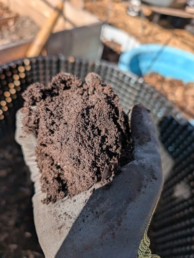 compost handful.jpg