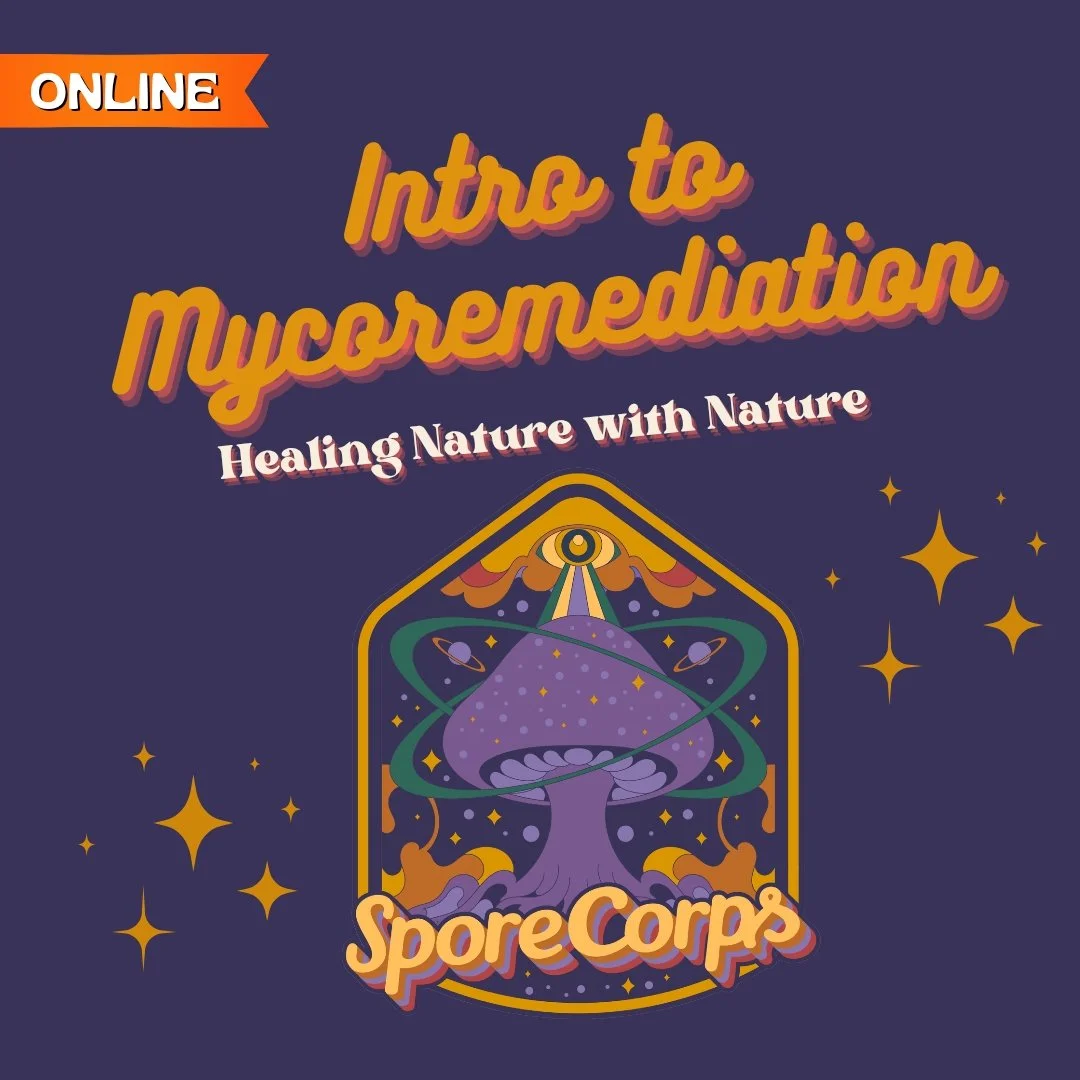 ONLINE: Intro to Mycoremediation