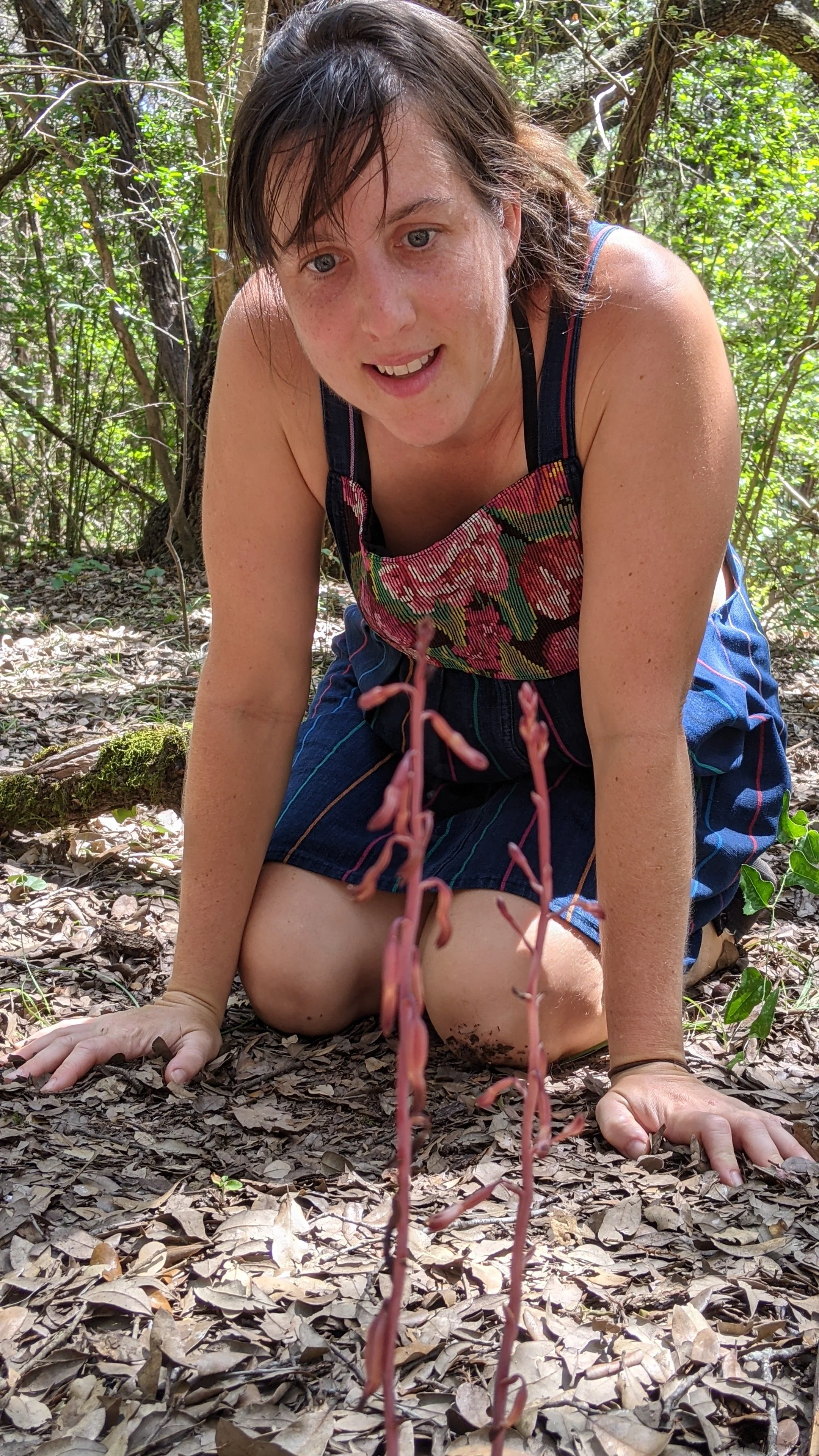 Angel Schatz (2019)