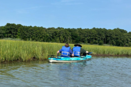 ONLINE: Beyond the Forest Floor - Diving into Coastal &amp; Marine Fungi
