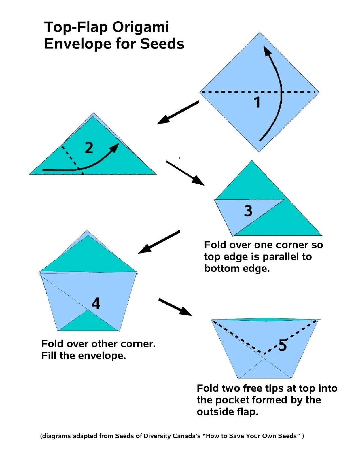 Origami seed packet.jpg