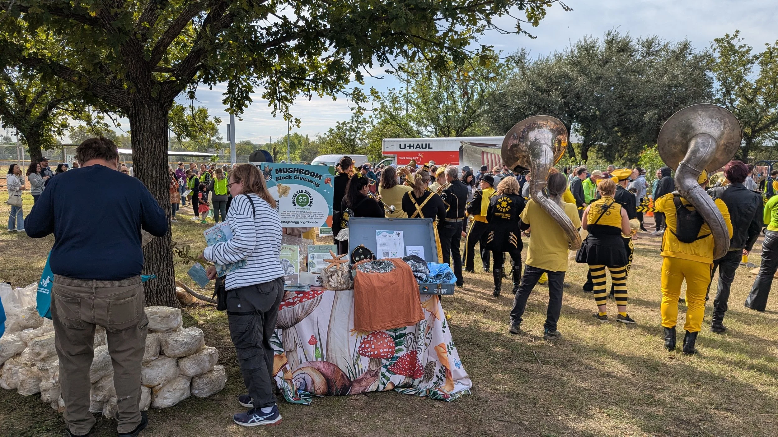AUSTIN: Mushroom Block &amp; Tree Giveaway at EcoFest 