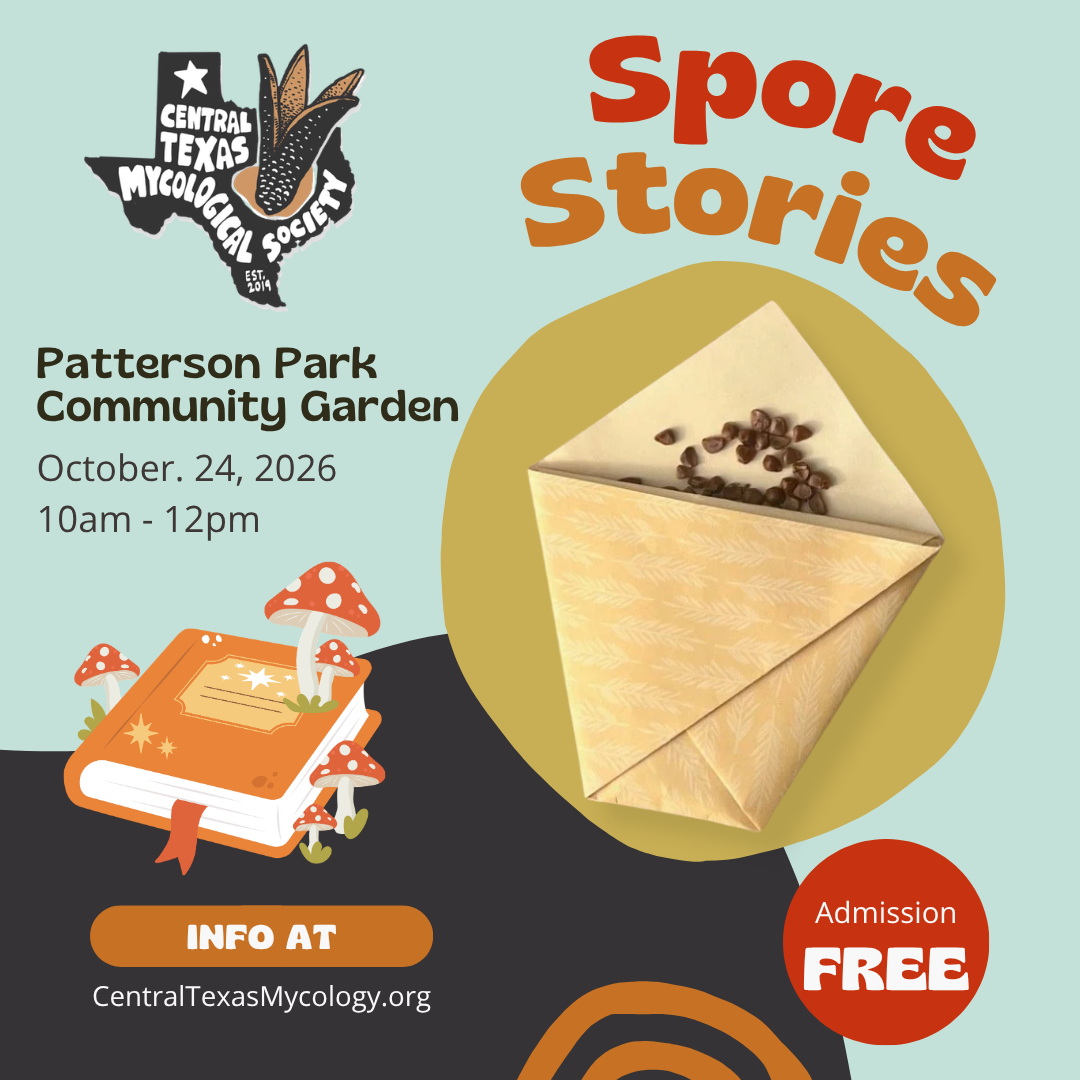 AUSTIN: Patterson Park Community Garden Fall Festival