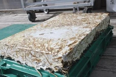 insulation.jpg