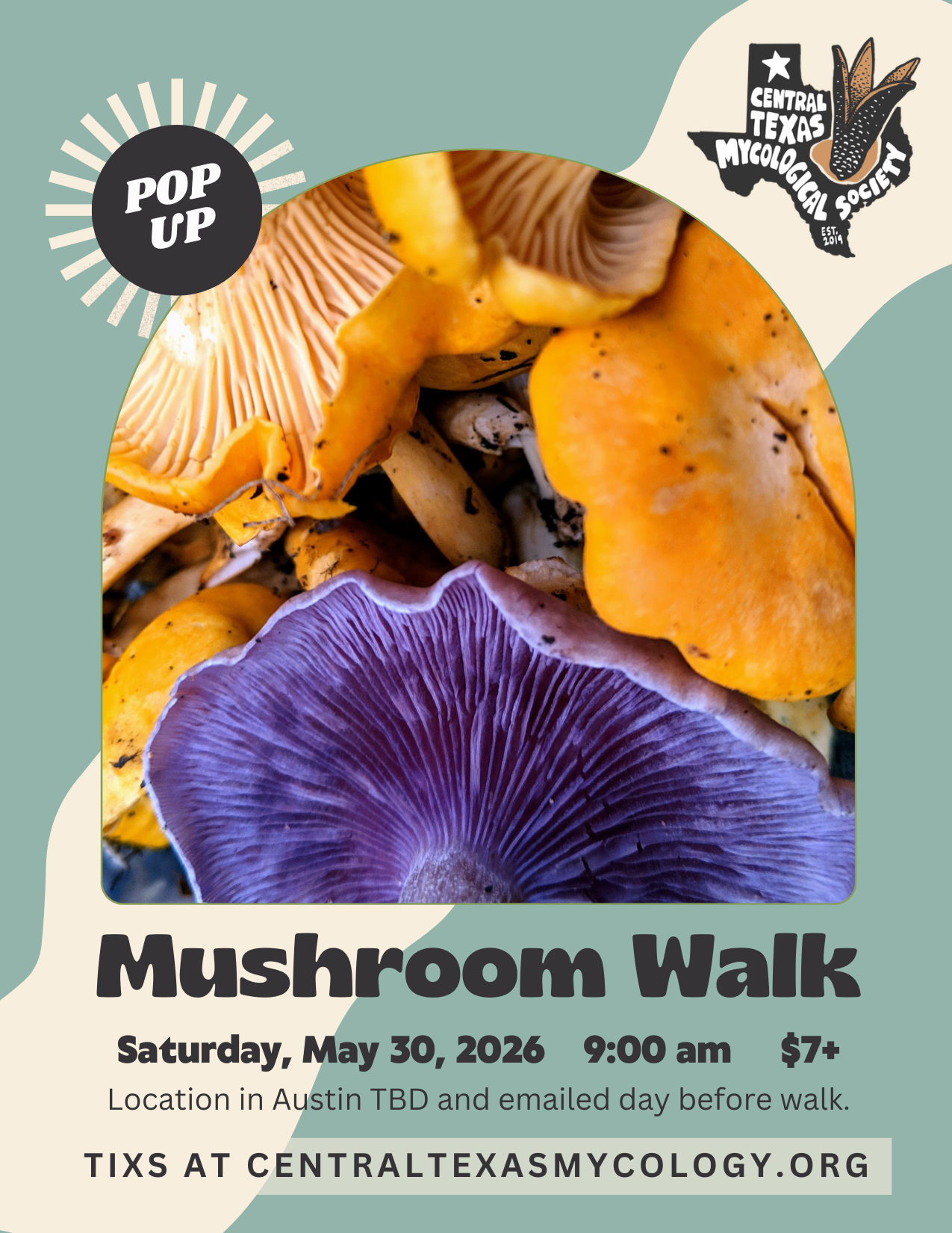 Mushroom Walks ( Flyer (5.5 x 8.5)) (1).png