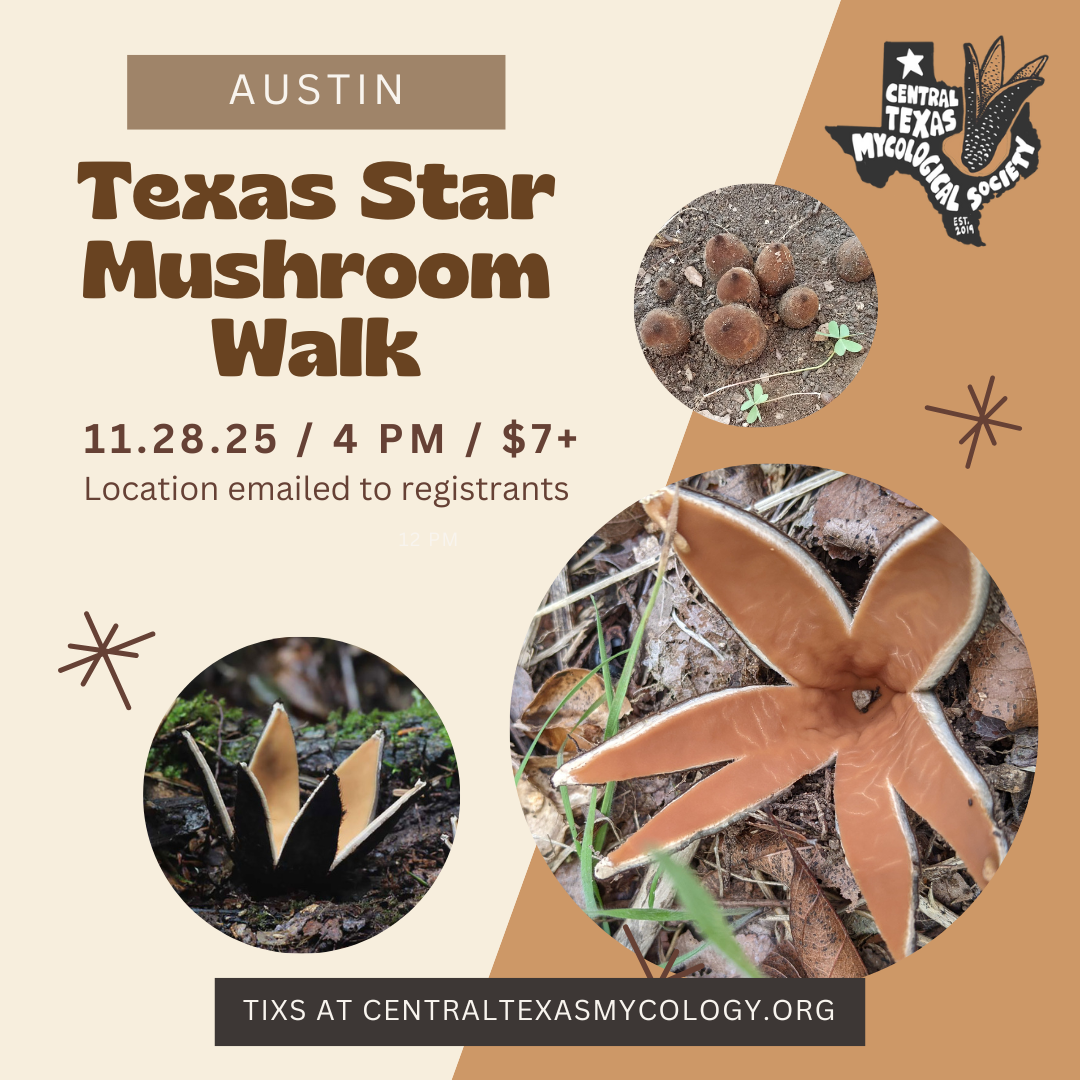 Texas Star Mushroom Walk.png