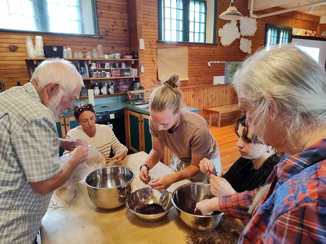 participants-working-with-the-elderberries_orig.jpg