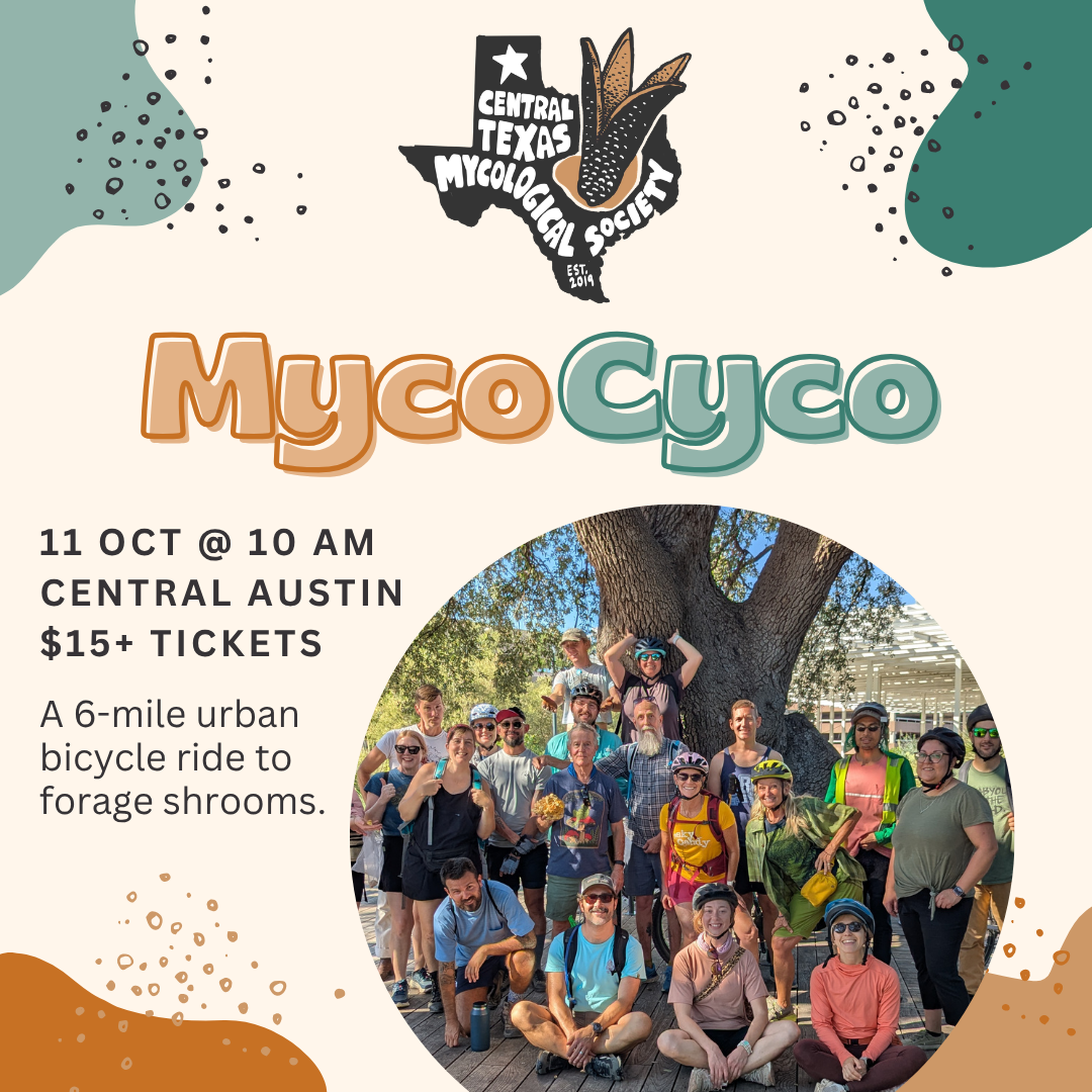 AUSTIN: Myco Cyco 6 🚲