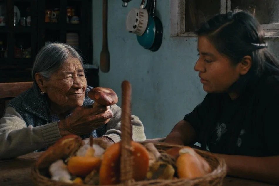 CREDIT: Martín Boege