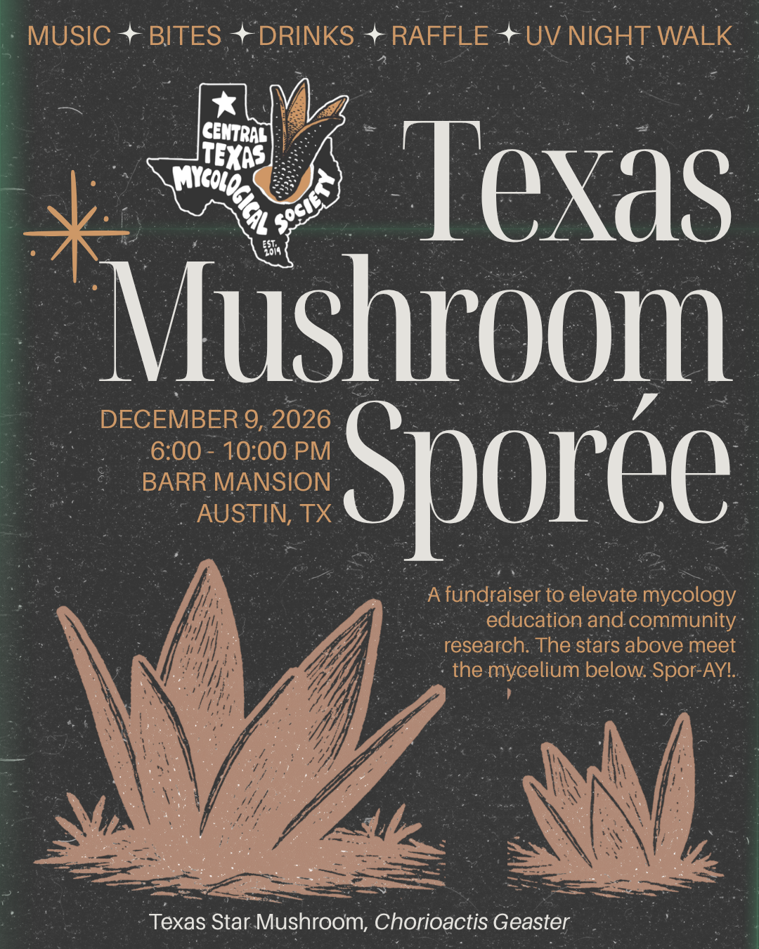 Texas   Mushroom    Sporée.png