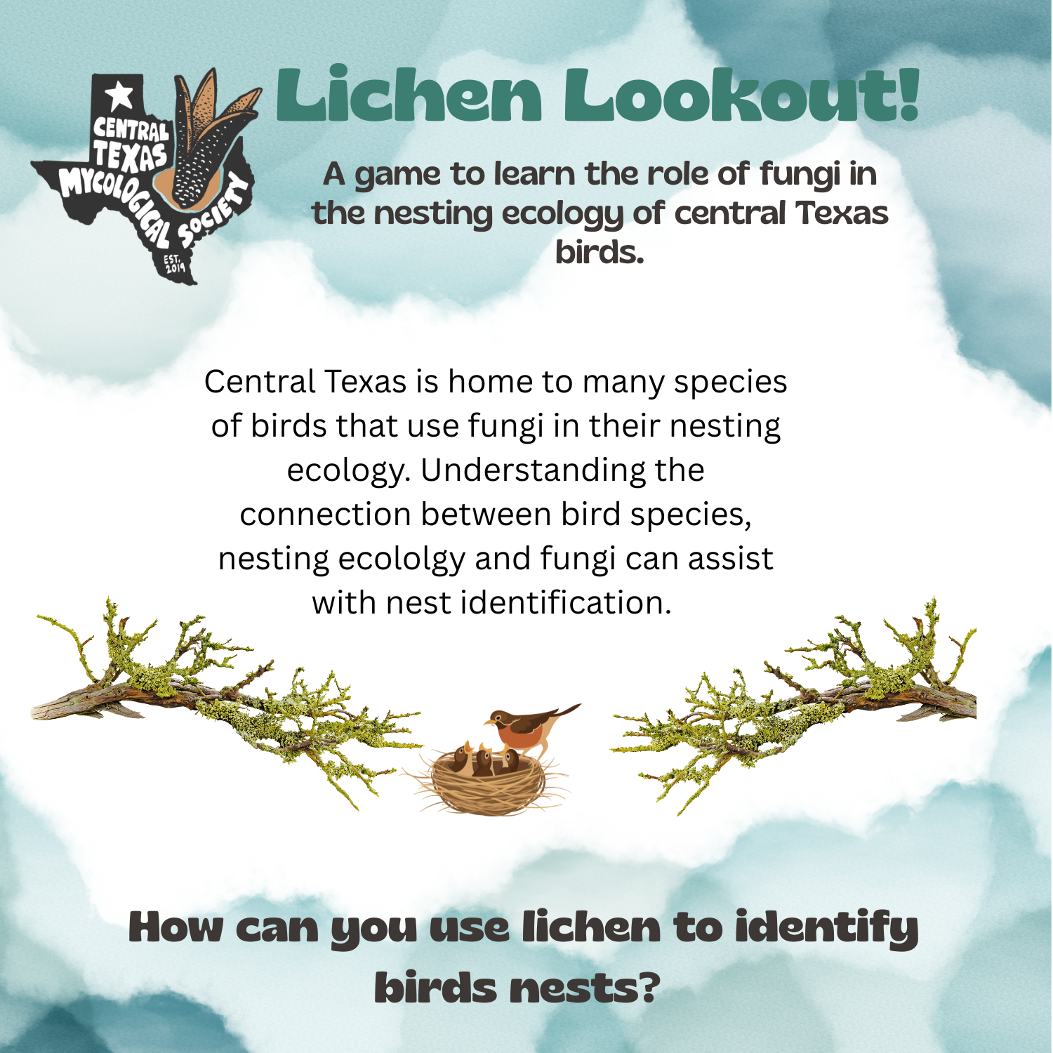 Lichen Lookout_game (1500 x 1500 px).png