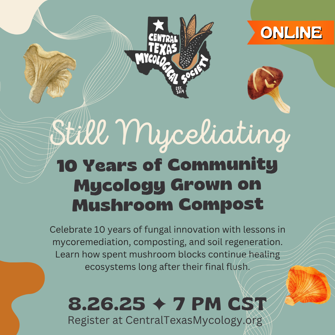 Online: Still Myceliating - 10 Years of Community Mycology Grown on Mushroom Compost