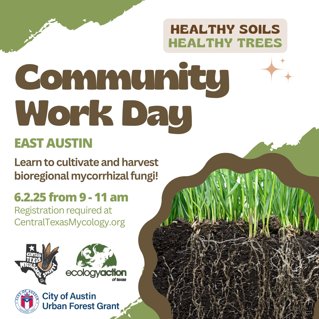 AUSTIN: Community Workday for Healthy Soils, Healthy Trees — Central ...