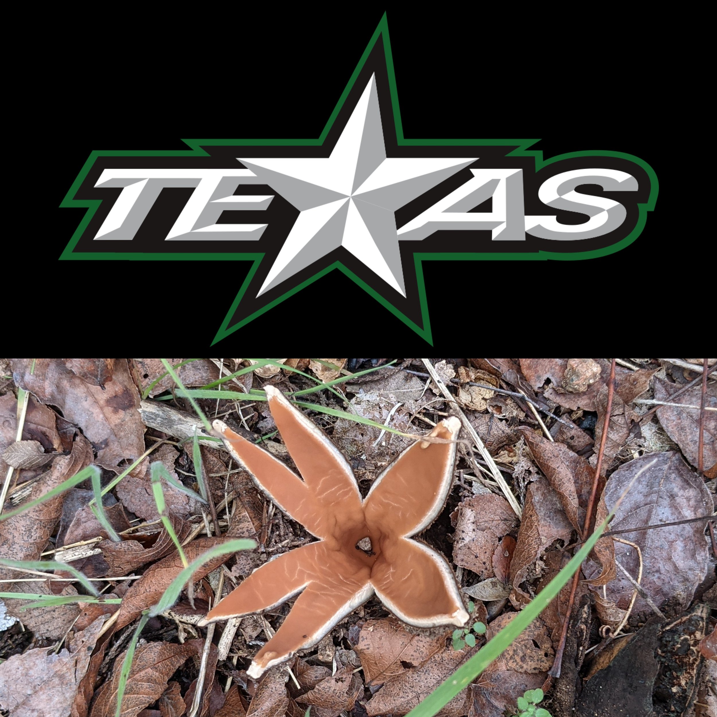 Texas Stars Hockey Game — Central Texas Mycological Society