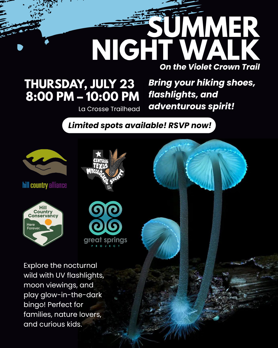 AUSTIN: Summer UV Night Walk