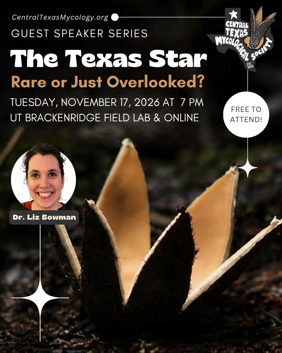 AUSTIN + ONLINE: The Texas Star - Rare or Just Overlooked?
