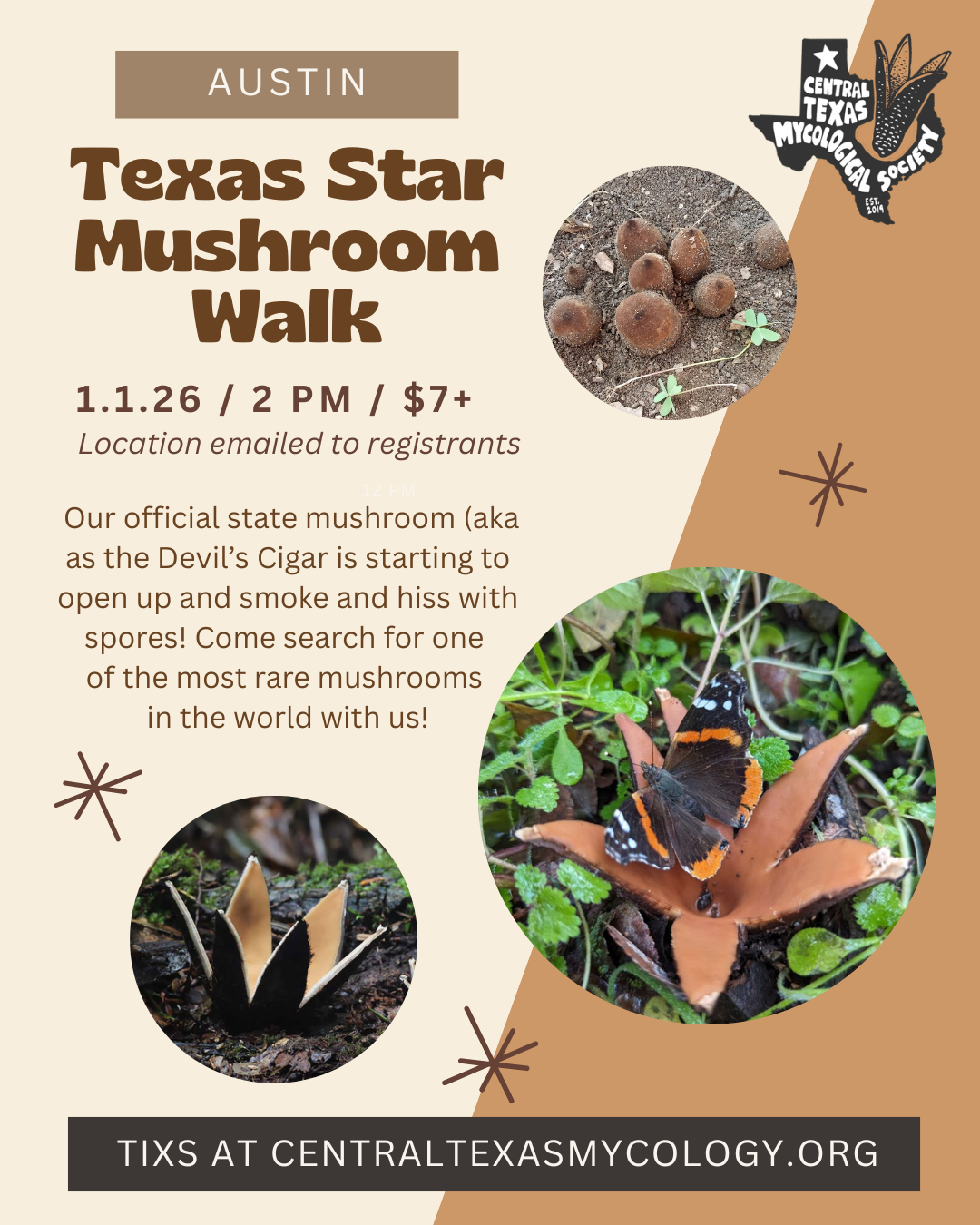 Texas Star Mushroom Walk (Instagram Post (45)).png