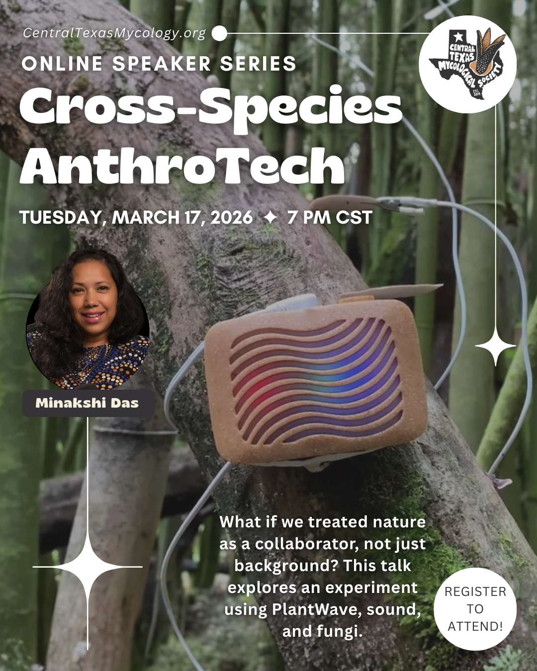 ONLINE: Cross Species Anthrotech - A PlantWave Experiment